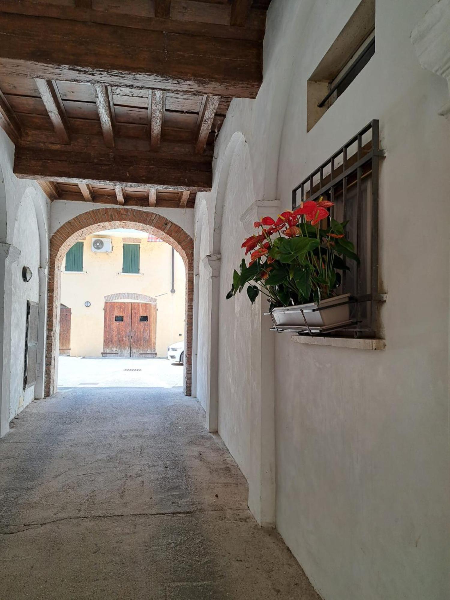 Foodwineart Apartment Mantova Exterior photo