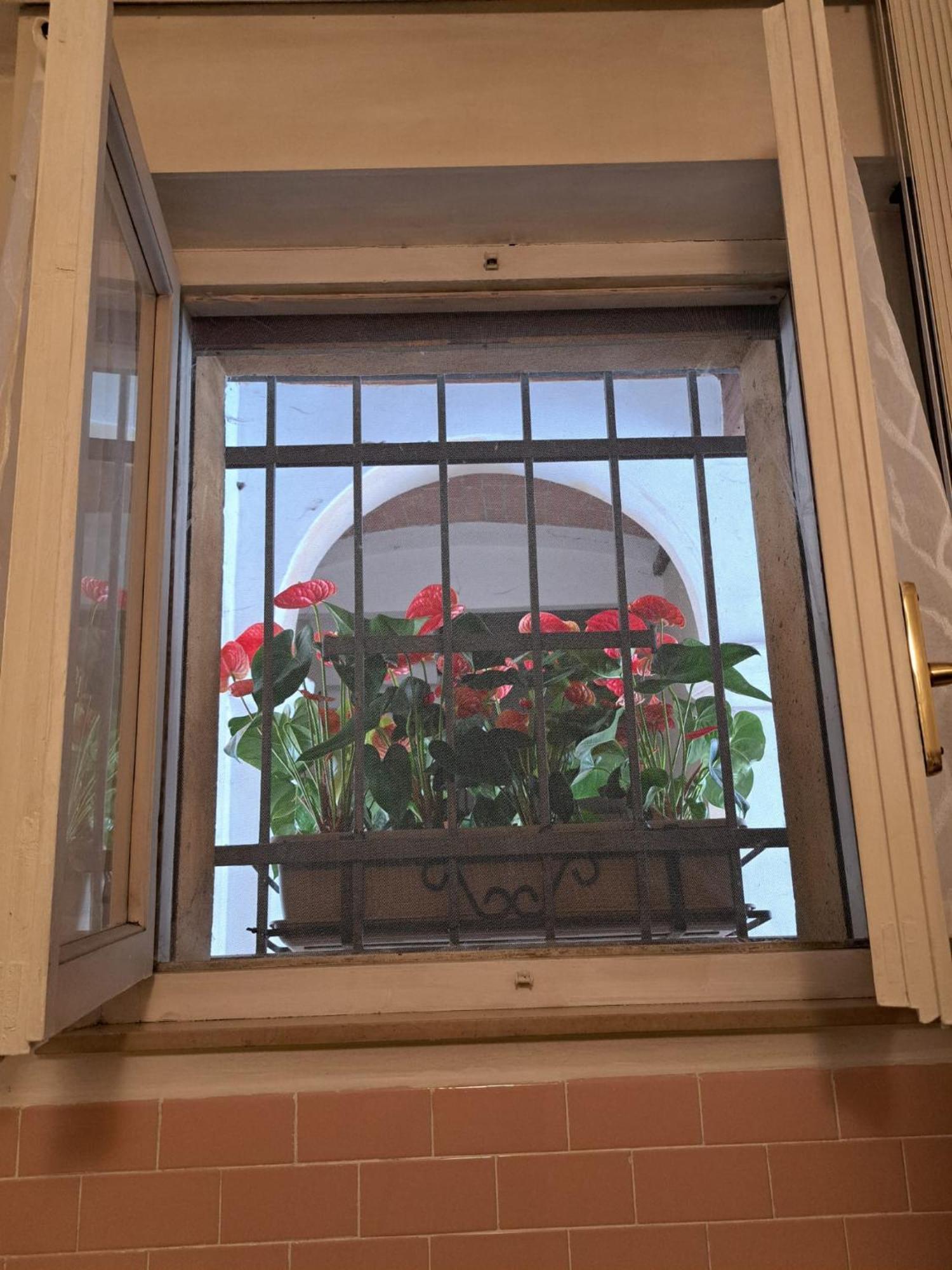 Foodwineart Apartment Mantova Exterior photo